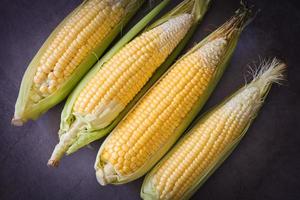 Corn on the cob, Sweet corn for cooking food, Fresh corn on dark background, Harvest ripe corn organic photo