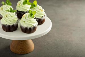 Chocolate mint cupcakes photo