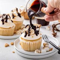 Smores cupcakes with graham crackers, toasted marshmallows and chocolate photo
