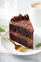 Dark chocolate cake slice photo