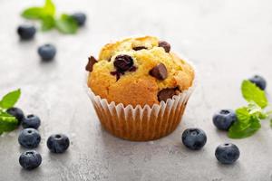 Chocolate chip and blueberry muffins photo