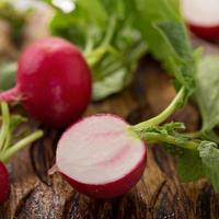 Cooking with radishes photo