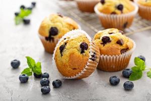 Chocolate chip and blueberry muffins photo