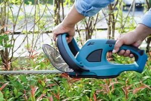 Gardener trimming bush by electric hedge clippers in garden. Hobby at home. photo