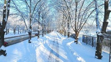 een winter wonderland van met sneeuw bedekt bomen en een bevroren land, verlichte door de warm gloed van de instelling zon. toneel- video van de bevroren weg Aan een winter dag. een magisch winter tafereel.