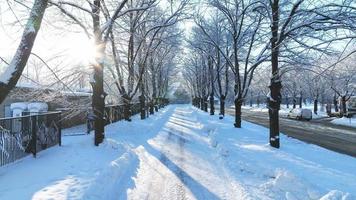 un' inverno Paese delle meraviglie di innevato alberi e un' congelato terra, illuminato di il caldo splendore di il ambientazione sole. panoramico video di il congelato strada su un' inverno giorno. un' magico inverno scena.