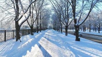 um país das maravilhas do inverno com árvores cobertas de neve e uma terra congelada, iluminada pelo brilho quente do sol poente. vídeo cênico da estrada congelada em um dia de inverno. uma cena mágica de inverno. video