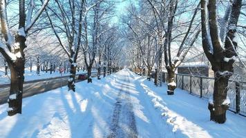 ein Winterwunderland aus schneebedeckten Bäumen und einem gefrorenen Land, erleuchtet vom warmen Schein der untergehenden Sonne. Szenisches Video der gefrorenen Straße an einem Wintertag. eine magische Winterszene.