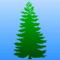 Pine tree or spruce tree isolated vector illustration. Green pine or fir vector for logo, icon, symbol, business, design or decoration