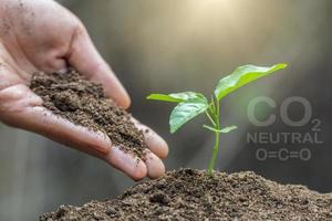 Save world and innovation concept Natural care concepts and world preservation, technology, global warming reduction. World Environment Day. photo