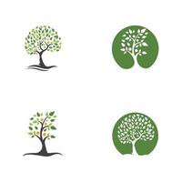 family tree logo template vector