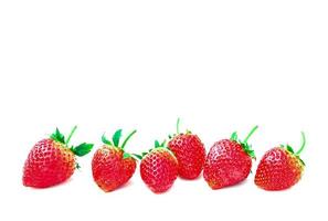 Red strawberries in a row on a white background. soft and selective focus. photo