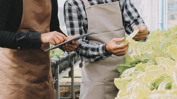 contadina che lavora presto nella fattoria che tiene cesto di legno di verdure fresche e tablet video