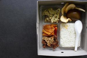 lunch boxes gudeg are similar to Bento boxes - rice boxes, rice, catering boxes, food services ,rice warm, sweet eggs, krecek, tofu, tempeh, pieces of chicken, photo
