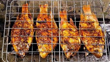 grilled fish, grilled fish nile Tilapia grilled on hot charcoal photo