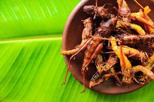 fried grasshopper or belalang goreng is traditional food from southeast asia, served with sambal, onion, garlic, chili on wood background photo