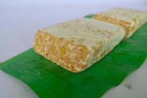 Raw tempeh or tempe. tempeh slices in white background. raw soybean seeds. Tempe is a traditional Indonesian food made from fermented soybeans. photo