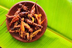 fried grasshopper or belalang goreng is traditional food from southeast asia, served with sambal, onion, garlic, chili on wood background photo