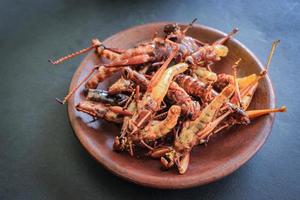 fried grasshopper or belalang goreng is traditional food from southeast asia, served with sambal, onion, garlic, chili on wood background photo