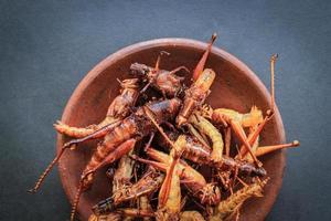 fried grasshopper or belalang goreng is traditional food from southeast asia, served with sambal, onion, garlic, chili on wood background photo