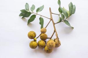 longan fruits. Fresh longan or kelengkeng isolate on white background photo