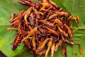 fried grasshopper or belalang goreng is traditional food from southeast asia, served with sambal, onion, garlic, chili on wood background photo