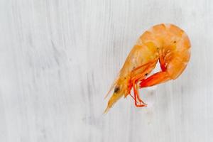 shrimp or Prawn Isolated On White background shrimp or Prawn Isolated On White background photo