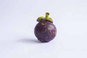 fresh, mangosteen , Garcinia mangostana isolated on white background photo