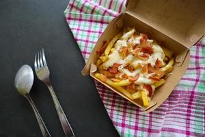 fried fries with with melted cheddar cheese or fried cheese with topping sausage slices on box photo