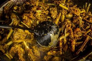 tengkleng kambing or goat tengkleng is a kind of soup with the main ingredient of goat bones. tengkleng like curry with goat bone material photo
