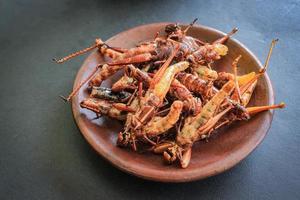 fried grasshopper or belalang goreng is traditional food from southeast asia, served with sambal, onion, garlic, chili on wood background photo