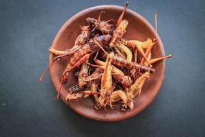 fried grasshopper or belalang goreng is traditional food from southeast asia, served with sambal, onion, garlic, chili on wood background photo
