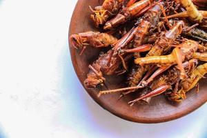 fried grasshopper or belalang goreng is traditional food from southeast asia, served with sambal, onion, garlic, chili on wood background photo
