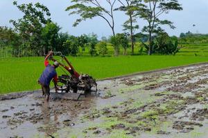 farmer plowing muddy field with hand tractor on indonesia, asia photo