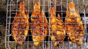 grilled fish, grilled fish nile Tilapia grilled on hot charcoal photo