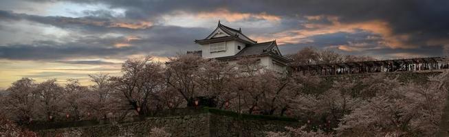 castillo de okayama tsuyama, parque kakuzan cuando florecen los cerezos en flor sakura. foto