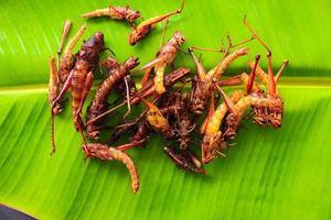 fried grasshopper or belalang goreng is traditional food from southeast asia, served with sambal, onion, garlic, chili on wood background photo