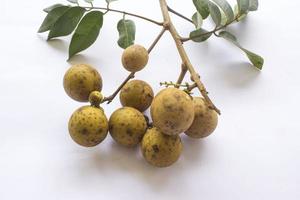longan fruits. Fresh longan or kelengkeng isolate on white background photo
