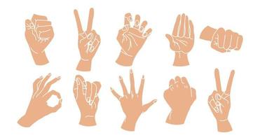 conjunto de manos humanas dibujadas. un par de manos en una colección de varios gestos. ilustración, vectorial
