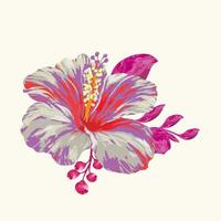 flor estética flores de acuarela. diseño vectorial vector