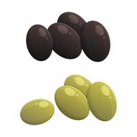 Green and black olives isolated on white background. Vector illustration