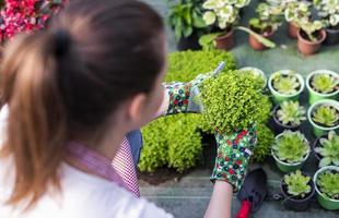 Young woman at a nursery holding flower plant in her hands as she kneels in the walkway between plants. photo