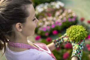 Young woman at a nursery holding flower plant in her hands as she kneels in the walkway between plants. photo