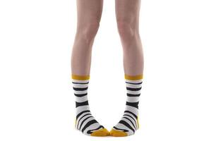 Female legs wearing  stripe socks. photo