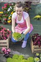 Young woman at a nursery holding flower plant in her hands as she kneels in the walkway between plants. photo