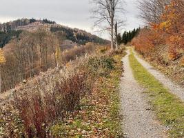 beautiful mountain road in autumn forest in germany photo