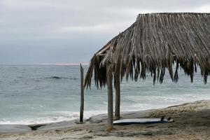 The landmark Windansea Surf Shack is a palm-covered shack that was originally constructed in 1946 photo