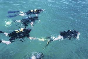 Top view of scuba diver swimming under water and examines the seabed. Scuba diver bubbles coming from bottom to surface. photo