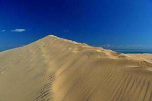dunas de arena de la isla de bazaruto foto
