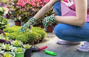 Young woman at a nursery holding flower plant in her hands as she kneels in the walkway between plants. photo